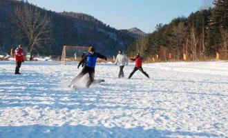 戴斌:冰雪旅游要向上的奧運 更要下沉的市場