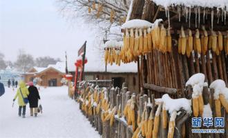 內(nèi)蒙古、吉林?jǐn)y手共建冰雪朋友圈