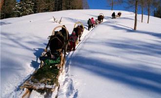 “冷資源”帶動(dòng)“熱經(jīng)濟(jì)” 冰雪旅游走俏還需哪幾步