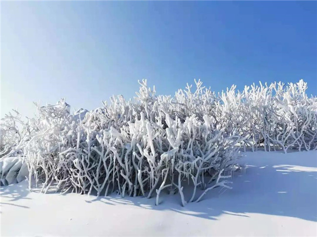 林語山谷戲雪樂園開板迎客5