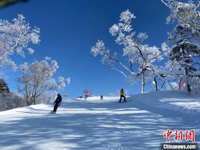 游客體驗(yàn)冰雪的速度與激情