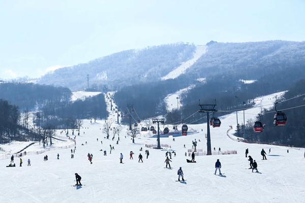 游客在吉林省吉林市萬科松花湖滑雪場滑雪