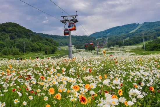 冰雪吉林展開夏季行動：景區(qū)推新項目重聚人氣3