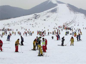 江蘇加快普及冰雪運動 提升人民群眾獲得感和幸福感