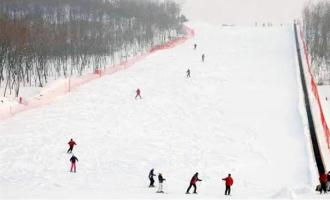 崇禮多樂美地滑雪場(chǎng)有多少條滑雪道？